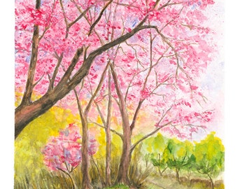 Pink Spring, limited edition Giclee print.
