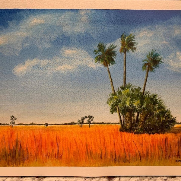 Sawgrass Prairie, Everglades. Watercolor painting.