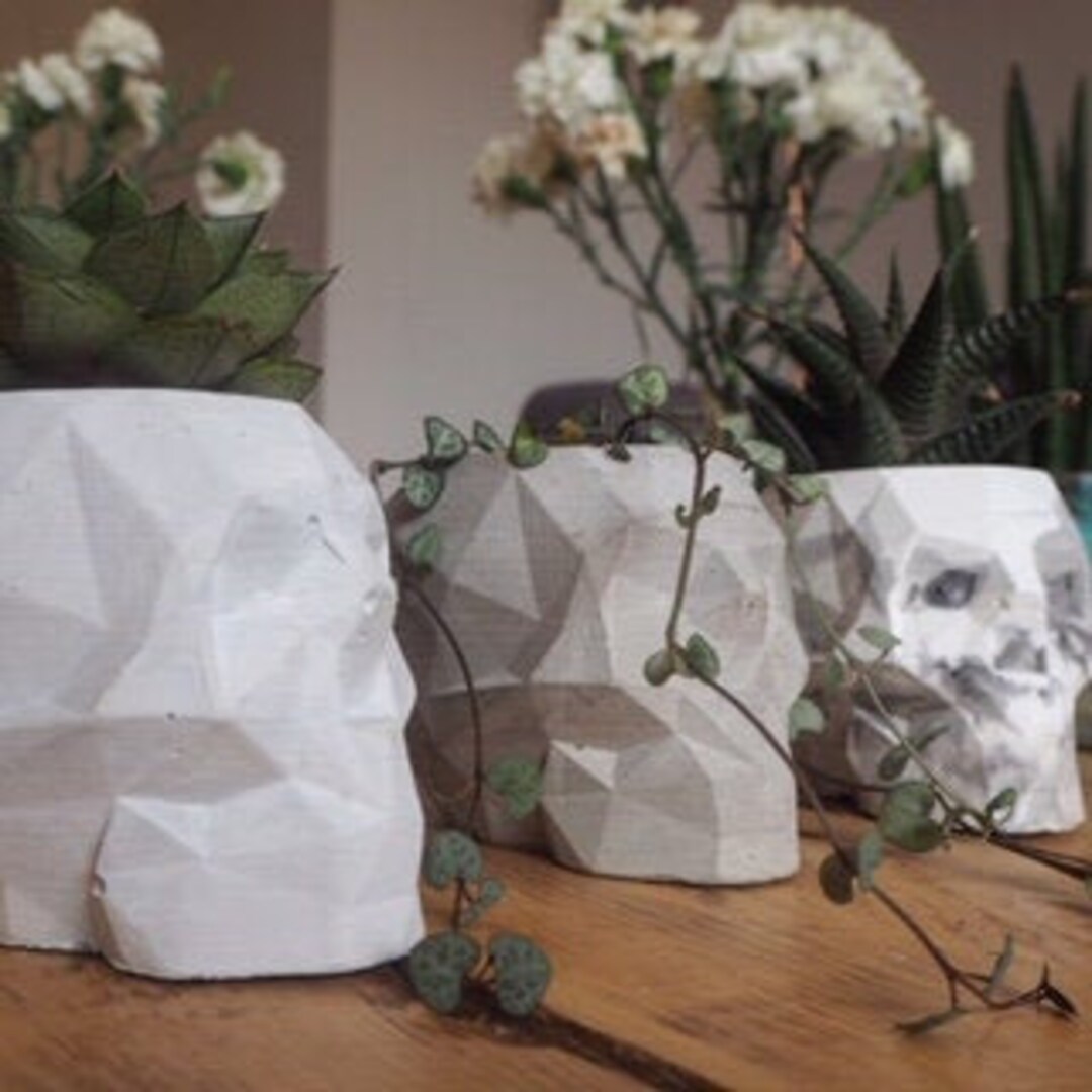 Geometric Concrete Skull Planter/ Pot/ Make up Brushes/ Paint Brushes