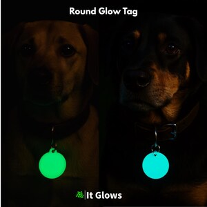 Pu&ograve; includere: Due cani con targhette rotonde e luminose. Un'etichetta si illumina di verde, l'altra di blu. Le targhette sono attaccate ai collari dei cani. Il testo "Round Glow Tag" &egrave; in alto e "It Glows" in basso nell'immagine.