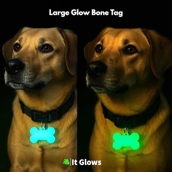 Glow in the Dark Pet Tag / Glowing Key Fob / Bright Zipper Pull / Pet / Gift for Dog/ Cat Dad