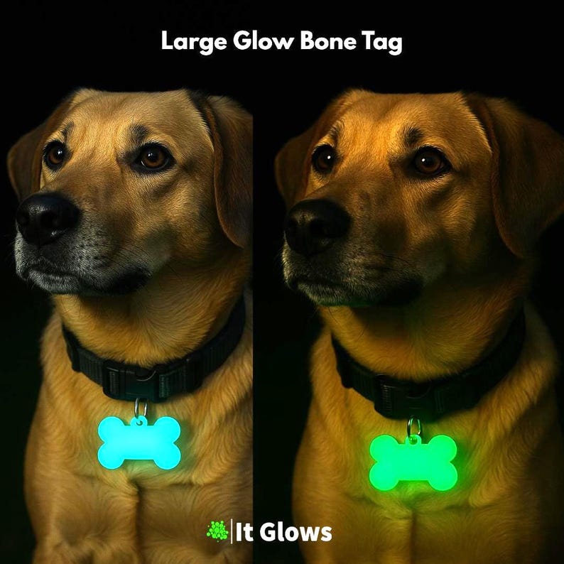 Targhetta per animali domestici fosforescente / Portachiavi luminoso / Tirazip luminoso / Animale domestico / Regalo per papà di cani/gatti Large GlowBone Tag
