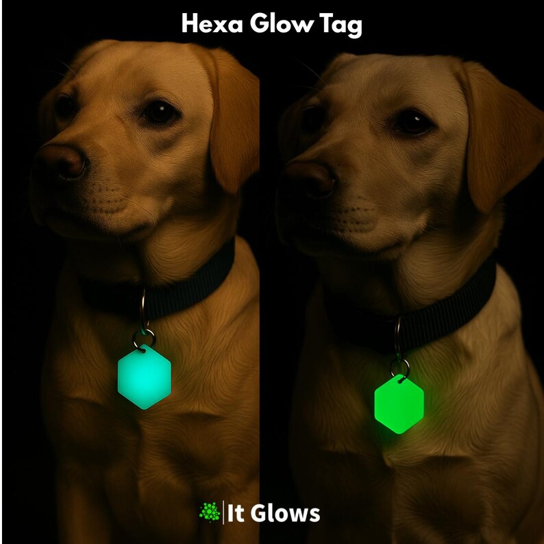 Targhetta per animali domestici fosforescente / Portachiavi luminoso / Tirazip luminoso / Animale domestico / Regalo per papà di cani/gatti Hexa Glow Tag