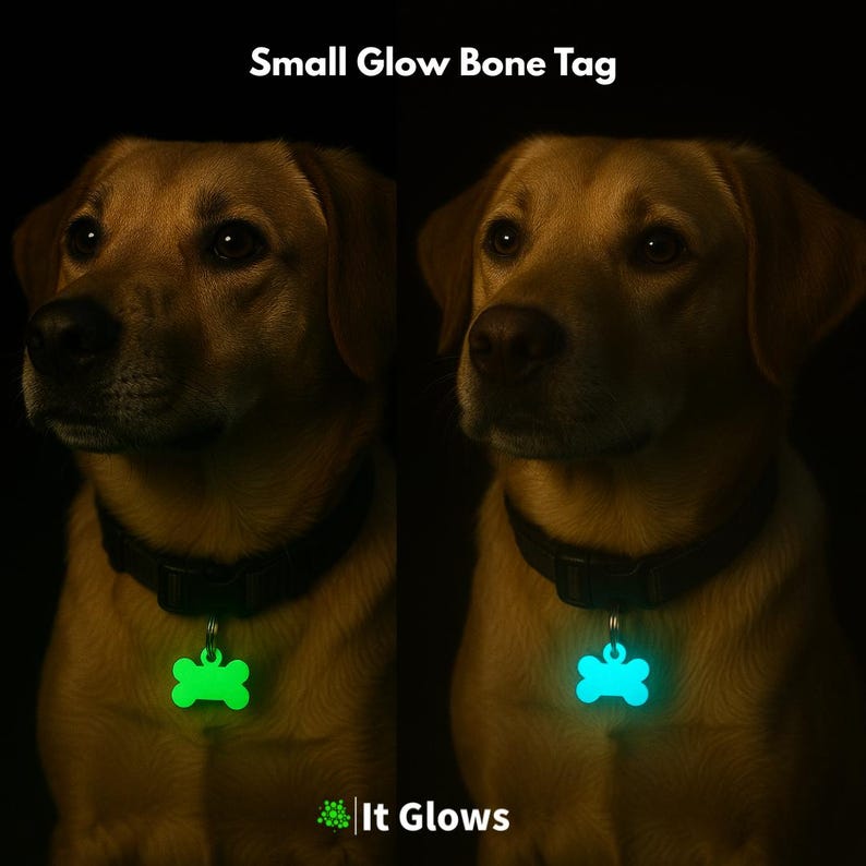 Targhetta per animali domestici fosforescente / Portachiavi luminoso / Tirazip luminoso / Animale domestico / Regalo per papà di cani/gatti Small GlowBone Tag