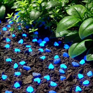 8-15 mm Premium Grade Glow in the Dark Aggregates/Glow Rocks/Glow Gravel/Glow Pebbles/Glow Geodes/Landscaping/Glow chips/Glow Concrete/DIY