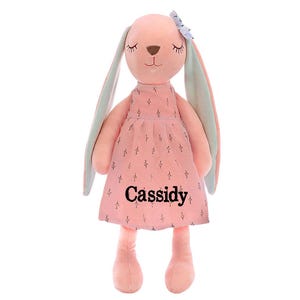 Personalized Pink Bunny Plush Doll in Dress : Unique Big Sister Lovey Name Gift