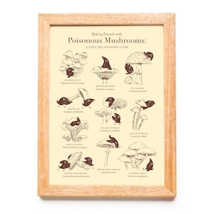Lámina artística de hongo venenoso (tamaño A5/A4), regalo espeluznante para amantes de los hongos y los cuervos, papel mate de archivo, entomología científica, historia natural