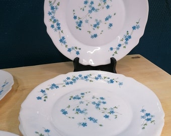 Lot assiettes vintage arcopal