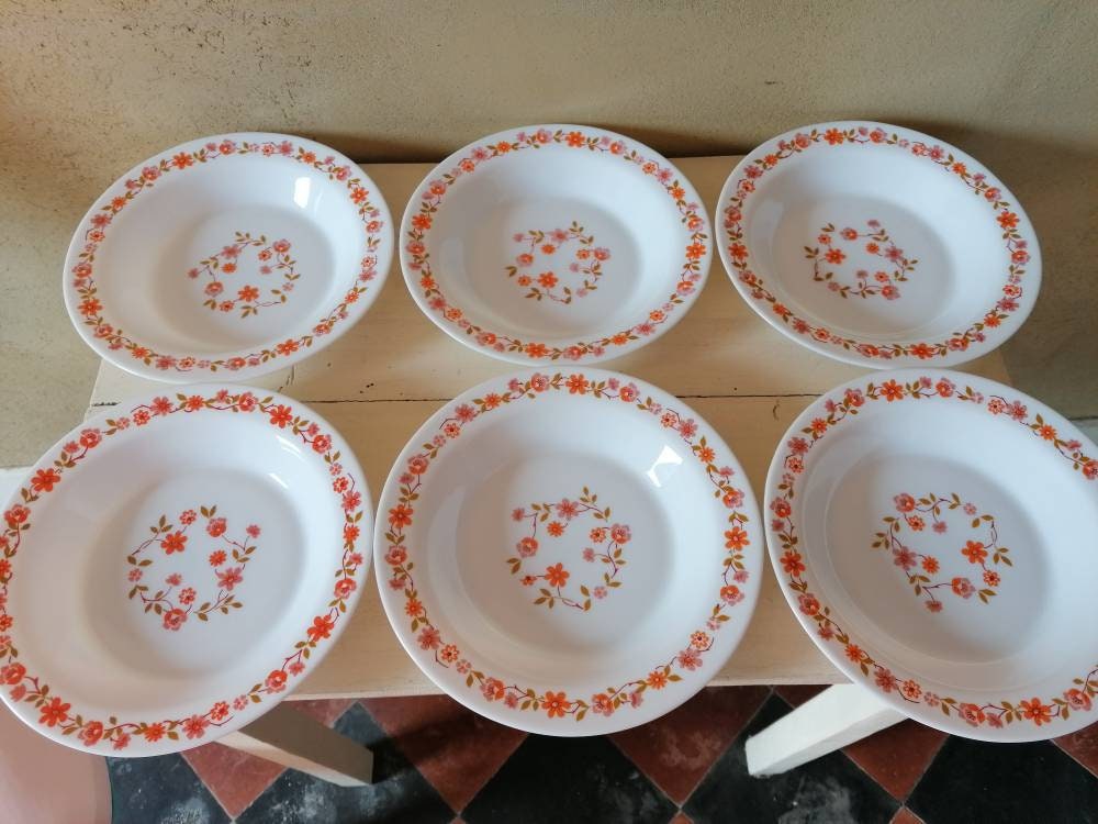 Lot de 6 Assiettes Creuses Arcopal Vintage