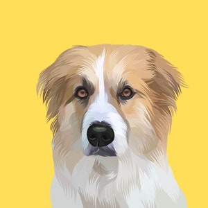 Custom Pet Cartoon Portrait | Personalized Digital Pet Art | Unique Gift