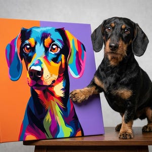 May include: A square canvas print featuring a vibrant, multi-colored pop art portrait of a dachshund. The artwork uses bold shades of blue, yellow, red, and green against a split orange and purple background, displayed next to a black and tan dachshund.