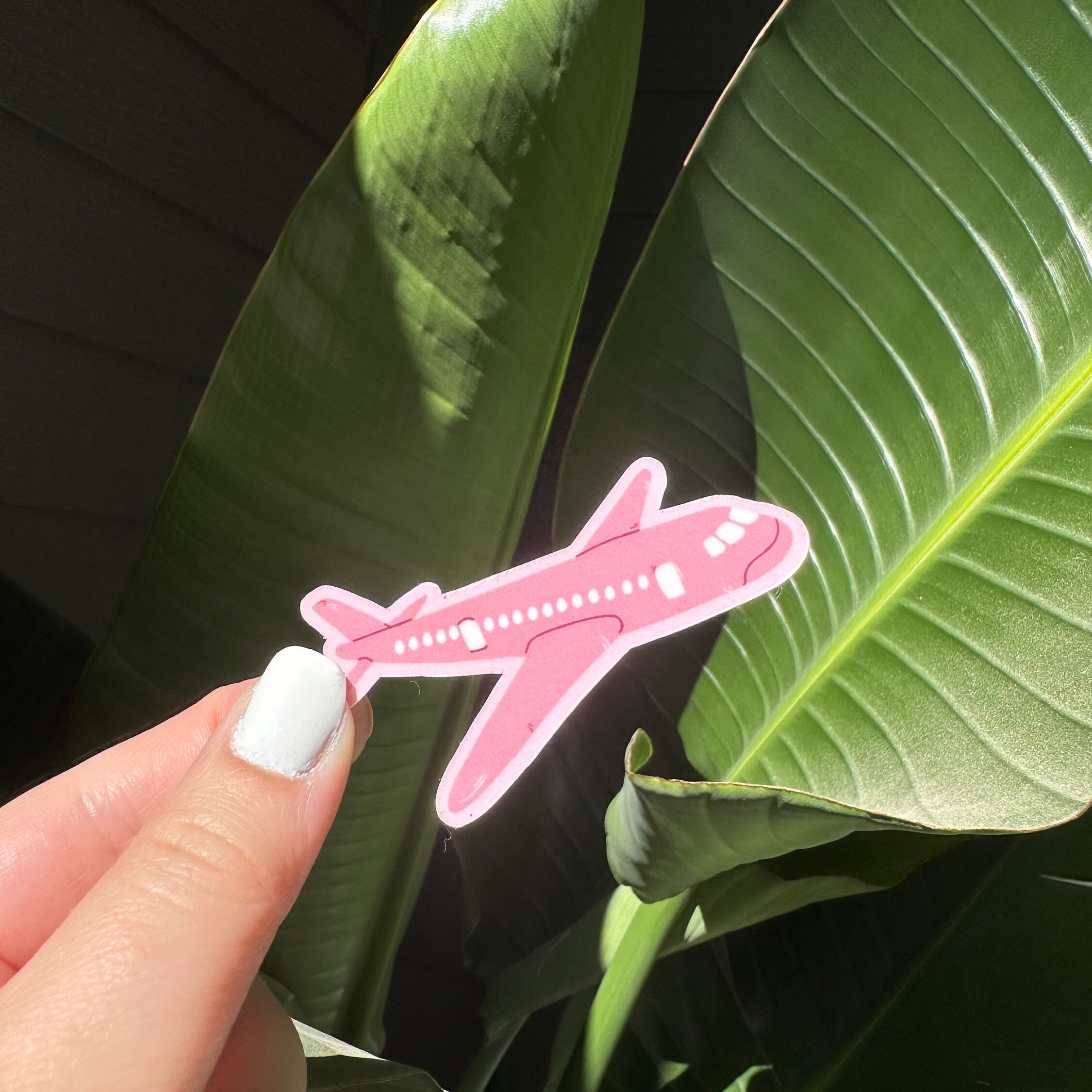Pink Plane Vinyl Sticker - Etsy