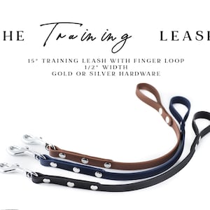 The TRAINING Leash - 1/2&quot;