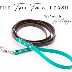 The Two-Tone Leash (5/8&quot;) - Waterproof Biothane and Stainless Steel