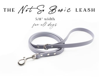 The NOT-SO-BASIC Leash (5/8") - Waterproof Biothane and Stainless Steel