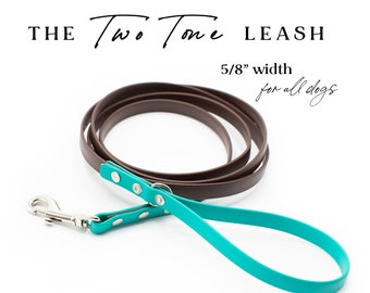 The Two-Tone Leash (5/8") - Waterproof Biothane and Stainless Steel