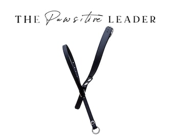 The PAWS'ITIVE Leader - Biothane Waterproof Gentle Leader