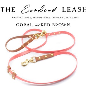 The EUROLEAD Leash - Convertible, hands-free, waterproof biothane leash