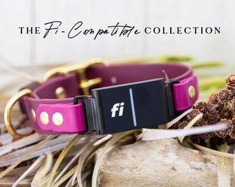 The FI COMPATIBLE Collection (1") - Series 3 Fi Biothane Dog Collar