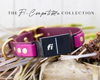 The FI COMPATIBLE Collection (1") - Series 3 Fi Biothane Dog Collar