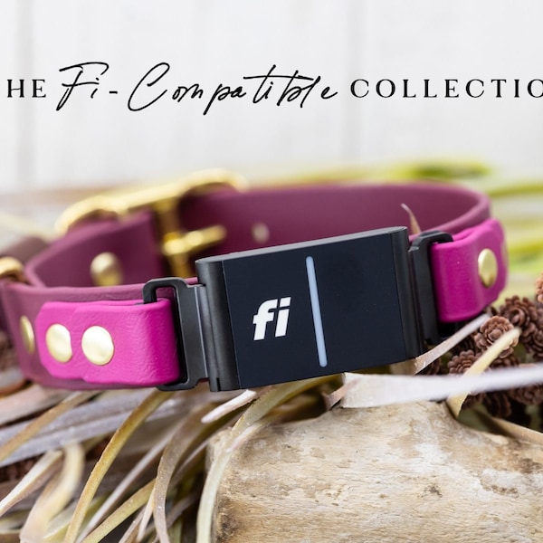 The FI COMPATIBLE Collection (1") - Series 3/3+ Fi Biothane Dog Collar