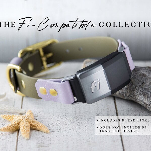 Fi Series 3 Compatible Collar Etsy
