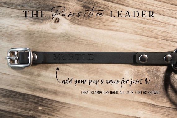 The PAWS ITIVE Leader Biothane Waterproof Gentle Leader Etsy