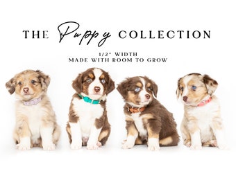 The PUPPY Collection - Biothane Dog Collar with Room to Grow