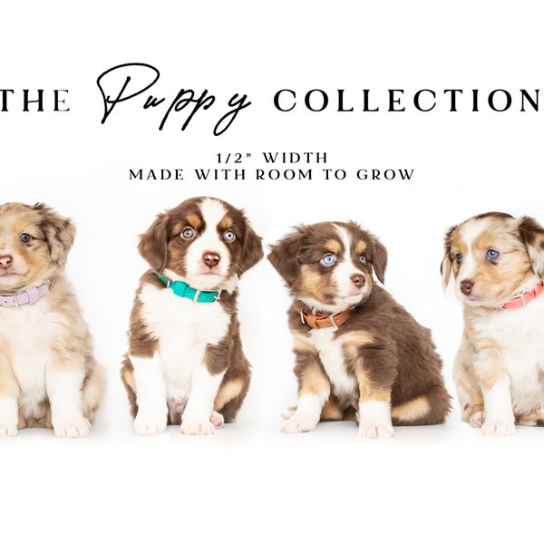 The PUPPY Collection - Biothane Hundehalsband mit Raum zum Wachsen