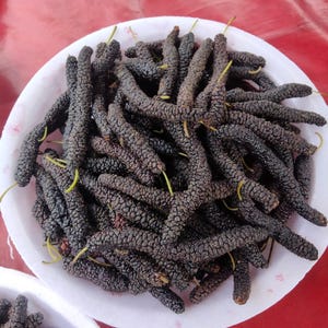 Può includere: Un piatto bianco pieno di more lunghe e di colore viola scuro. Le more sono disposte in un mucchio, con alcuni steli ancora attaccati.