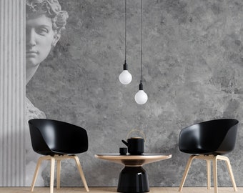 Ancient Roman Statue Gray Backgorund Art Design Wallpaper Self Adhesive Peel and Stick Wall Mural Wall Decoration Removable