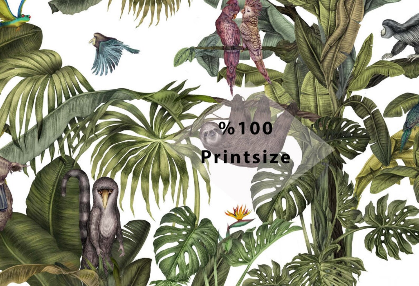 Tropical Wallpaper Jungle Peel and Stick Botanical Wall Mural - Etsy