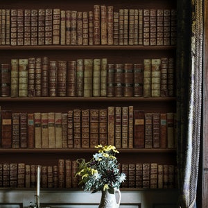 Looking for Library Background Wallpaper Self Adhesive Peel and Stick Wall Murals Wall Decoration Scandinavian Design Removable