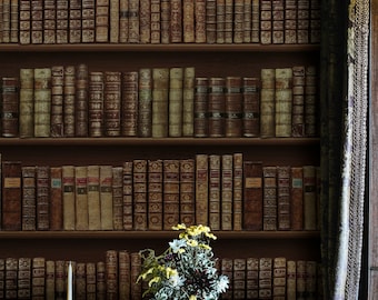 図書館の背景壁紙をお探しですか？剥がして貼るだけの粘着式壁画。壁飾り、スカンジナビア風デザイン、取り外し可能。
