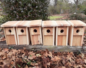 6 Cedar Bluebird Houses