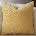 see more listings in the Velvet Pillow Cover section