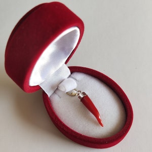Generico Collana Corno Portafortuna Donna Acciaio con Ciondoli a forma di Cornetto Rosso Napoletano e Quadrifoglio | Color Argento