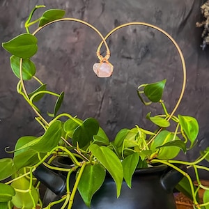 May include: A black cauldron with a green plant growing out of it. A heart-shaped wire frame with a pink crystal hanging from it is positioned above the plant. The cauldron is sitting on a wooden surface.