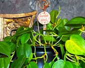Garden Witch Copper Wire Plant Stake | Witchy Houseplant Decor for Indoor Plant Lovers and Garden Witches — Handcrafted Gift