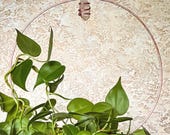 Round Crystal Trellis – Handmade Plant Decor Circle | Choose Your Crystal: Amethyst, Citrine, Quartz for Personalized Spiritual Energy