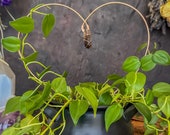 Smoky Quartz Crystal Heart Trellis - Handmade Copper Plant Support for Hoya, Monstera, Philodendron. Ideal for Spiritual Plant Enthusiasts