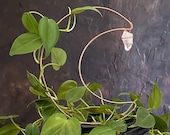 Celestial Clear Quartz Moon Trellis, Hoya Plant Accessory, Crescent Moon Plant Decor, Gift for Plant Lovers, Indoor Gardening Decor