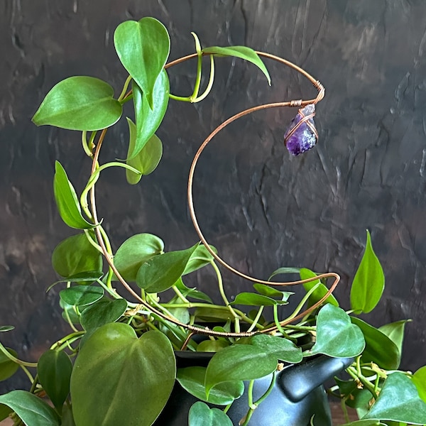 Handcrafted Copper Crescent Moon Plant Trellis, Amethyst Gemstone Decor for Intuition & Spiritual Growth — Witchy Plant Lover Gift