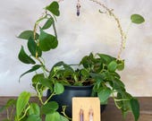 Interchangeable Charm Trellis, Handcrafted Plant Decor with Swappable Wire-Wrapped Crystal Charms