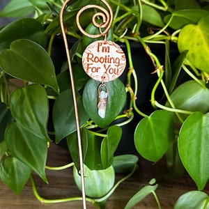 Puede incluir: Una estaca de planta de cobre con una etiqueta redonda de cer&aacute;mica blanca que dice "I'm Rooting For You". Un peque&ntilde;o cristal transparente est&aacute; unido a la estaca.