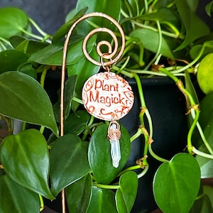 May include: A copper plant marker with a white ceramic charm that says "Plant Magick" and a clear crystal hanging from it.