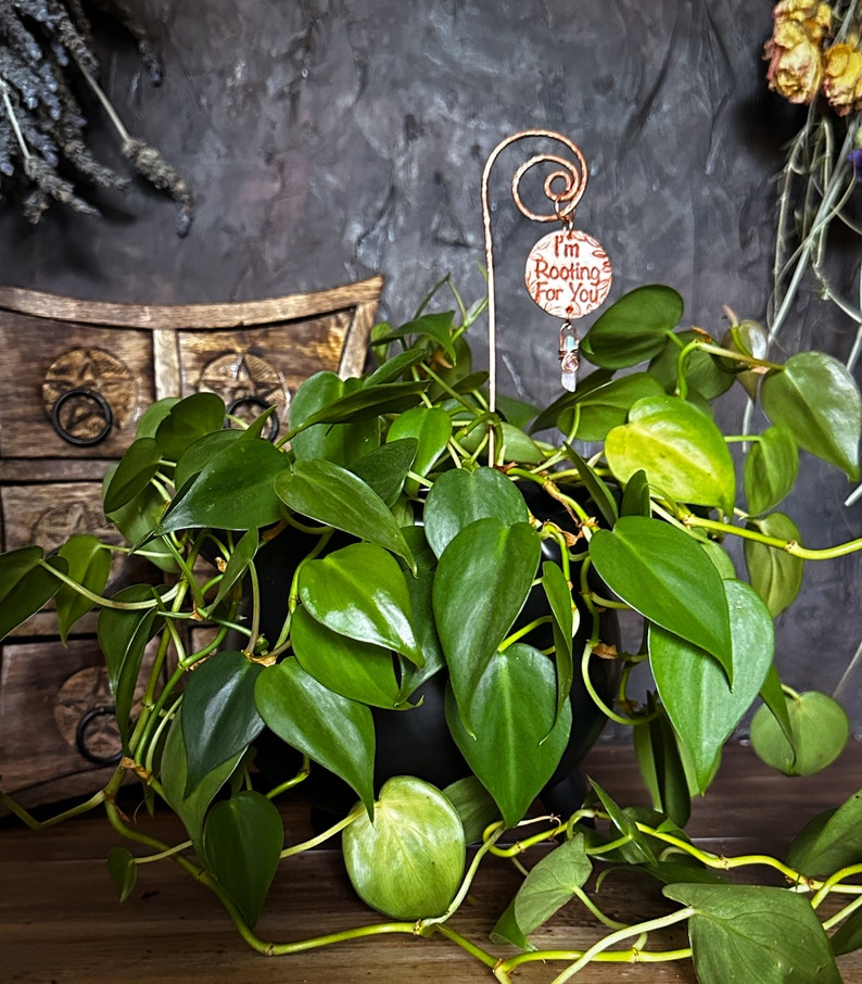 Puede incluir: Una planta en maceta con hojas verdes y una estaca de cobre para plantas con una etiqueta redonda que dice "Te estoy animando".