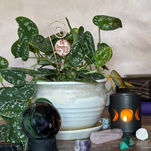 Puede incluir: Una planta en maceta con hojas verdes y una estaca de metal decorativa con un amuleto que dice "Te estoy animando". La planta est&aacute; en una maceta de cer&aacute;mica blanca con un patr&oacute;n decorativo. Hay varios cristales y un portavelas negro con un dise&ntilde;o de luna sobre una superficie de madera.