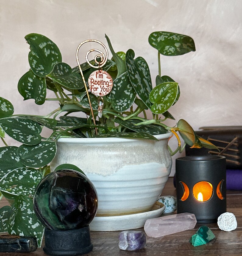 Puede incluir: Una planta en maceta con hojas verdes y una estaca de metal decorativa con un amuleto que dice "Te estoy animando". La planta est&aacute; en una maceta de cer&aacute;mica blanca con un patr&oacute;n decorativo. Hay varios cristales y un portavelas negro con un dise&ntilde;o de luna sobre una superficie de madera.