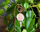 Plant Magic Indoor Garden Crystal Plant Stake, Copper Plant Accessory for Witchy Decor, Green Witches, Plant Lover, Gardener and Herbalists